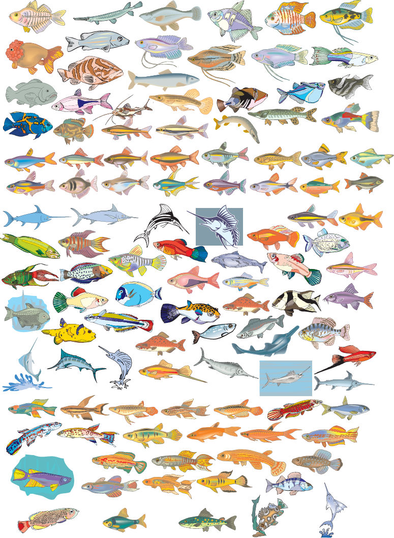 free vector Big Vector Collection of Different Fish